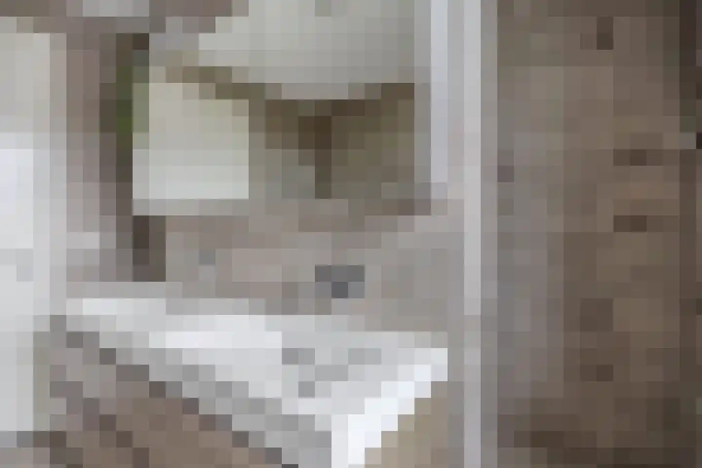 Ultramarijn 34 Dronten thumbnail 46