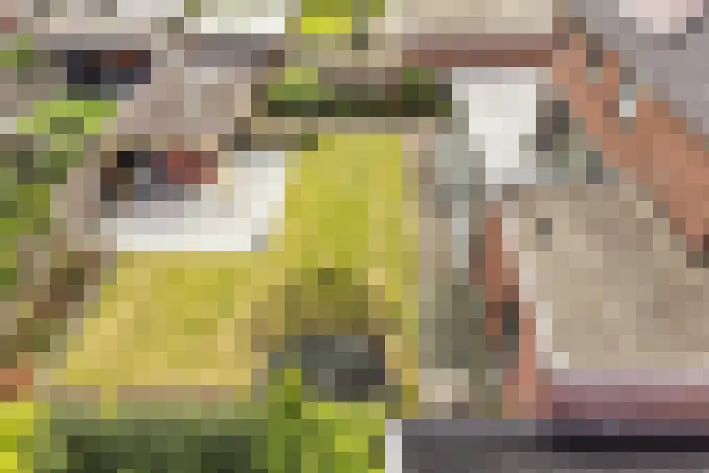Ultramarijn 34 Dronten thumbnail 70