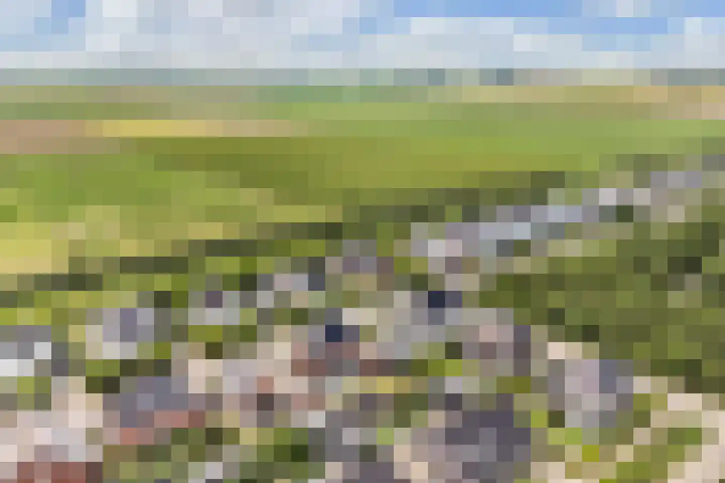 Ultramarijn 34 Dronten thumbnail 73