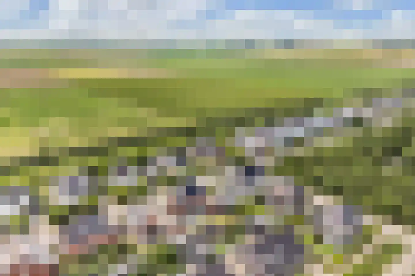 Ultramarijn 34 Dronten thumbnail 74