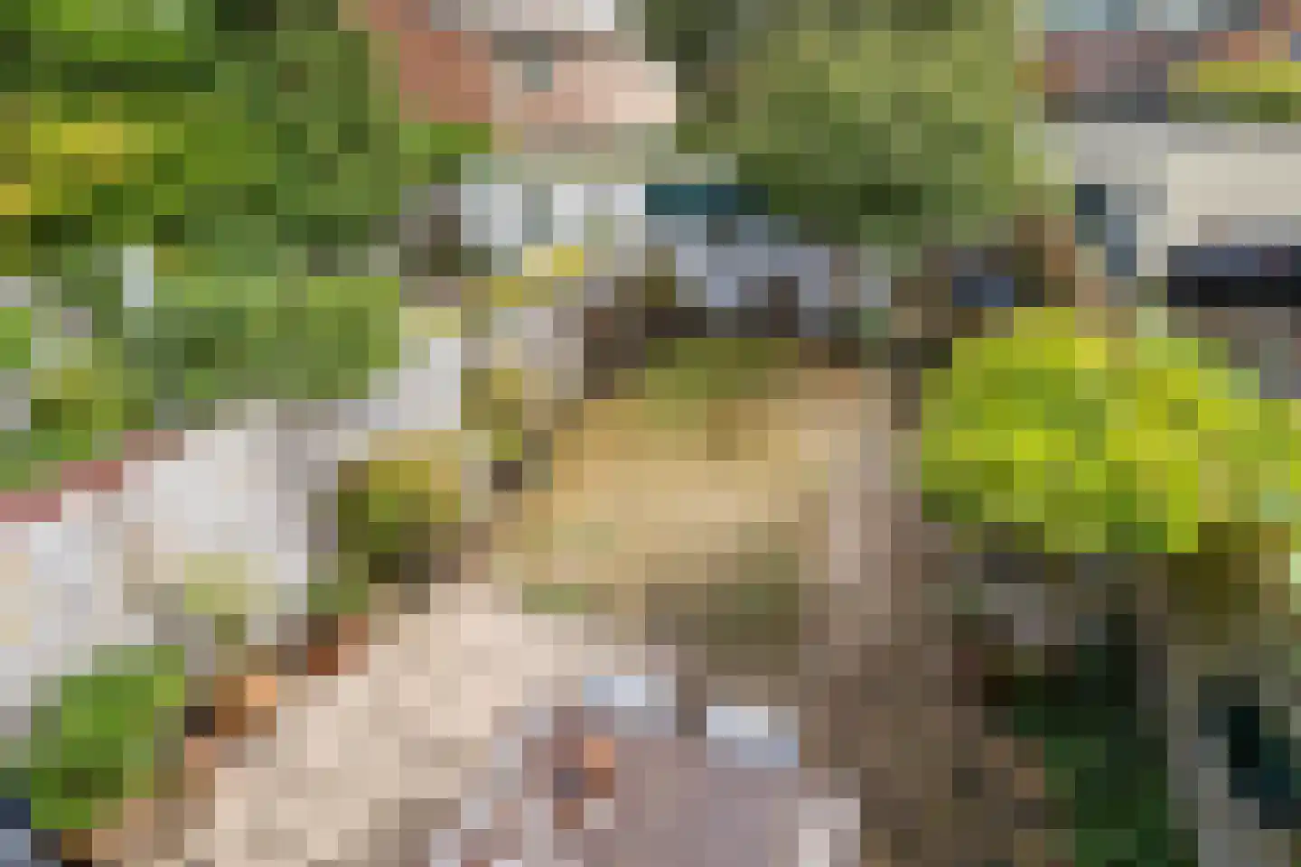 Ultramarijnhof 7 Voorburg thumbnail 19