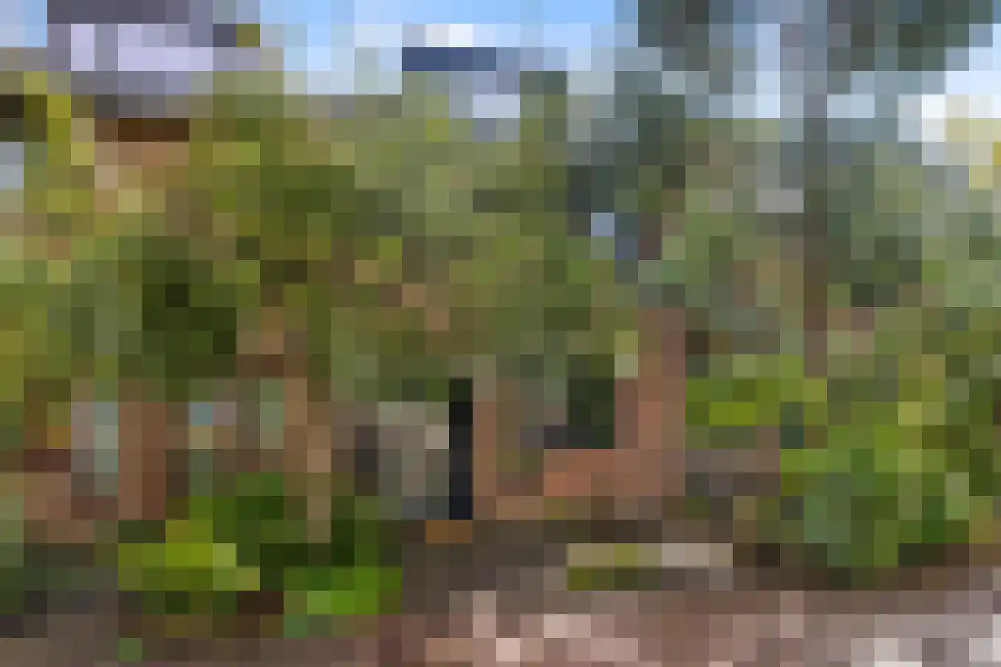 Ultramarijnhof 7 Voorburg thumbnail 25