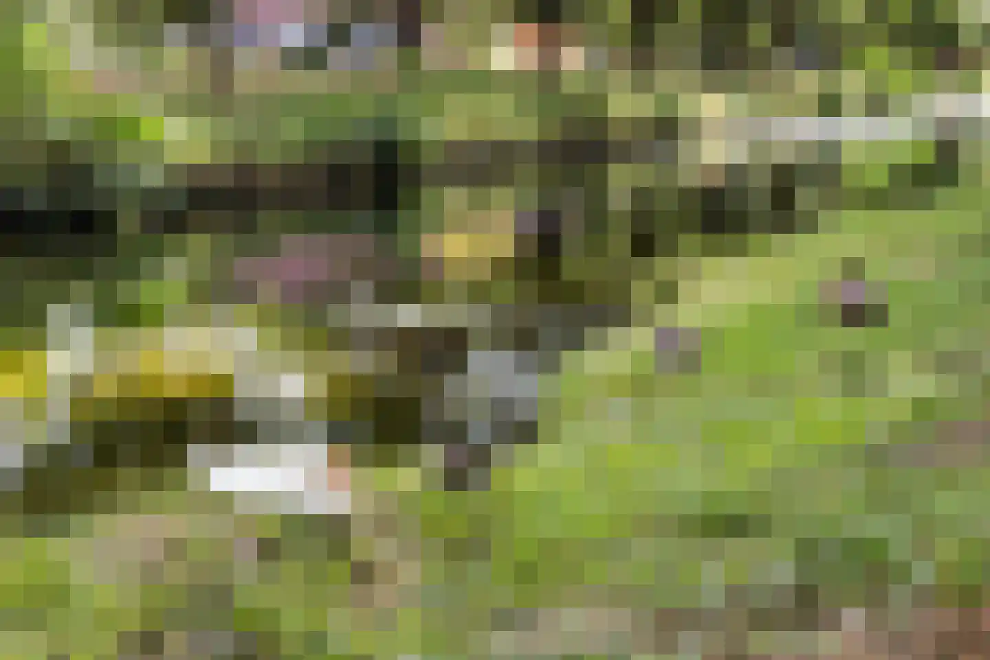 Ultramarijnhof 7 Voorburg thumbnail 27