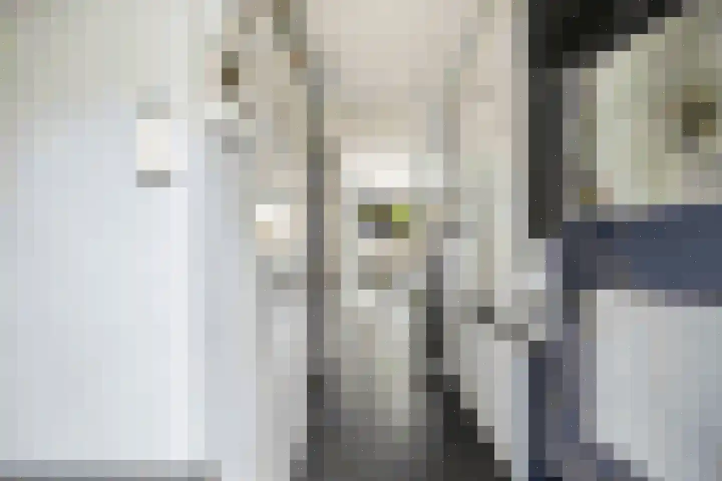 Ultramarijnhof 7 Voorburg thumbnail 5