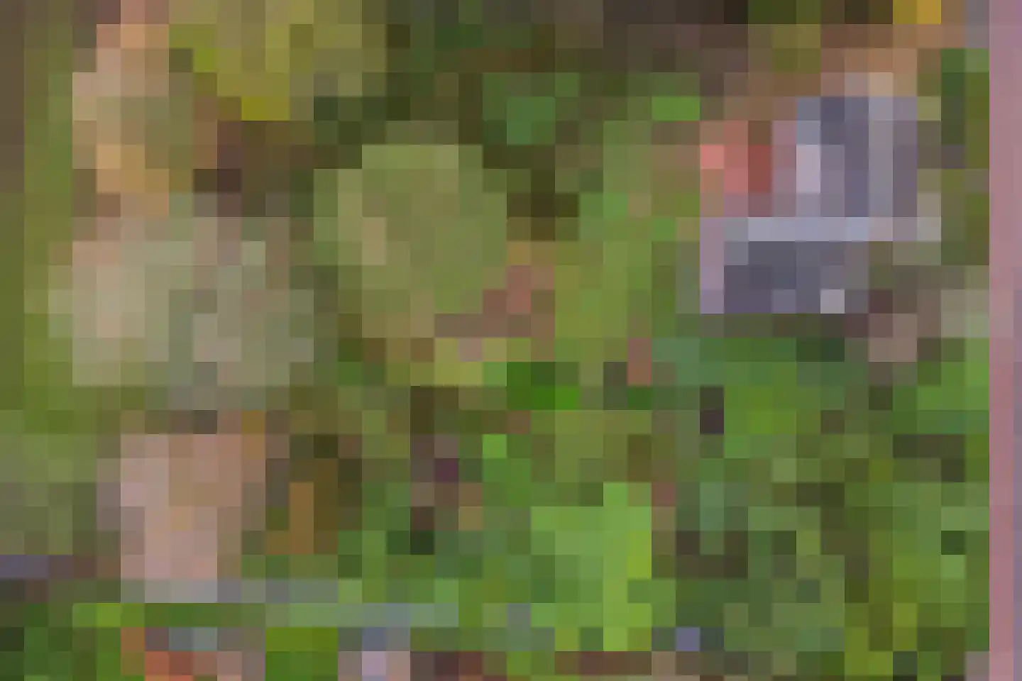 Ulvenhoutselaan 123 Breda thumbnail 11