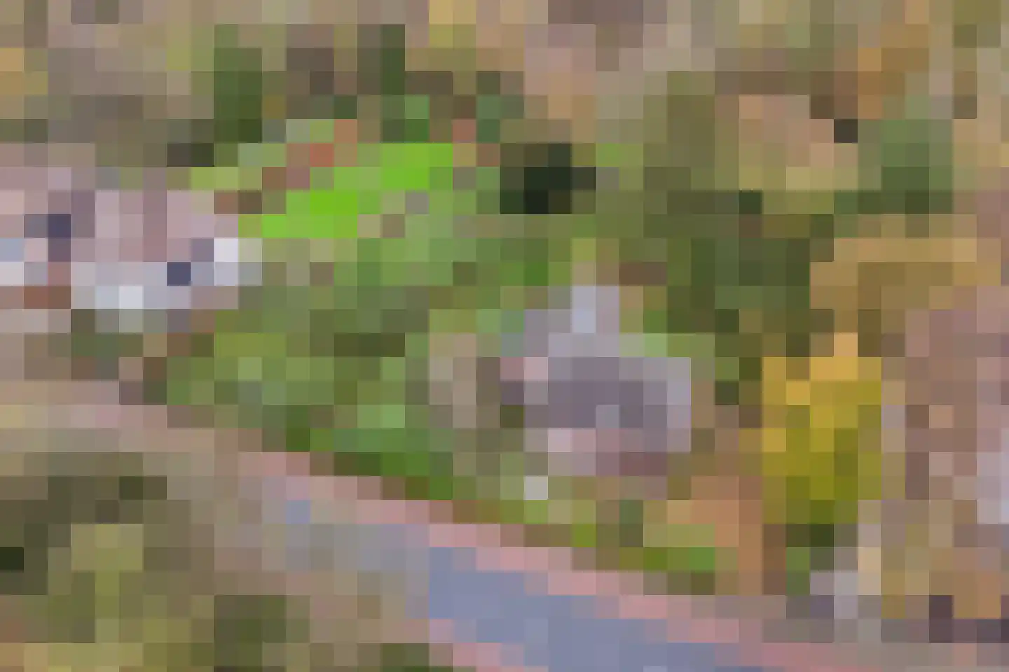 Ulvenhoutselaan 123 Breda thumbnail 12