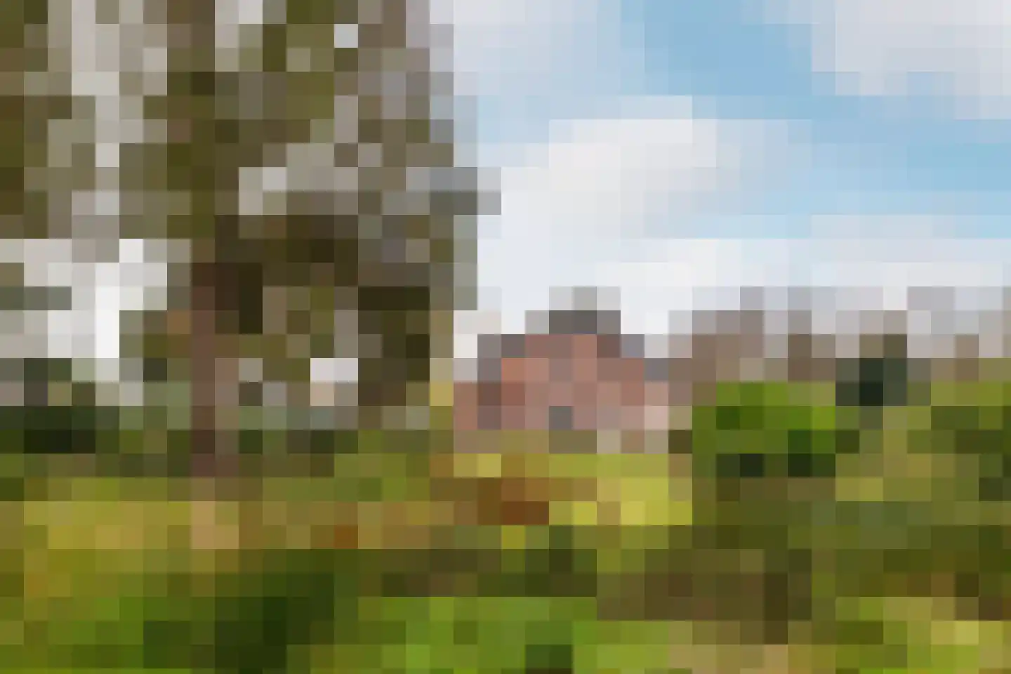 Ulvenhoutselaan 123 Breda thumbnail 5