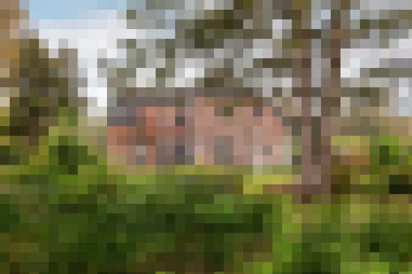 Ulvenhoutselaan 123 Breda thumbnail 6