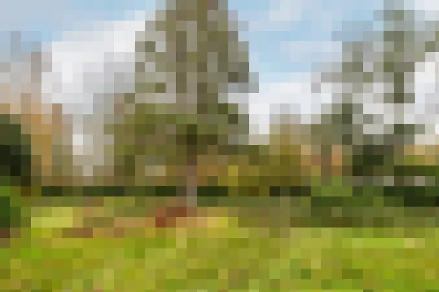 Ulvenhoutselaan 123 Breda thumbnail 7