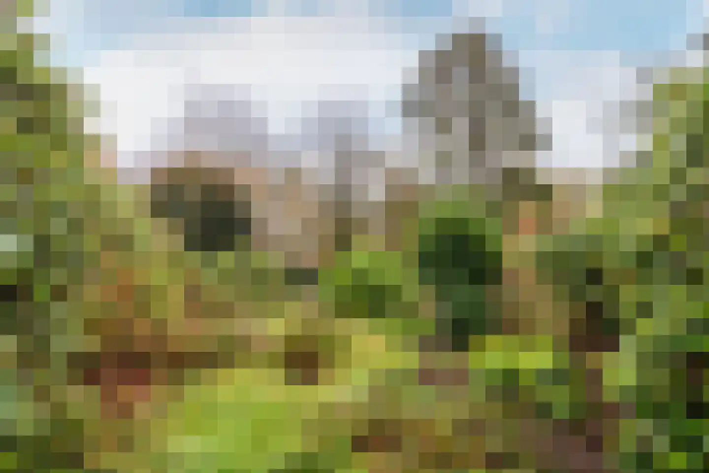 Ulvenhoutselaan 123 Breda thumbnail 8