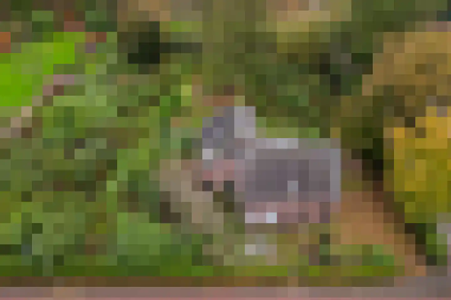 Ulvenhoutselaan 123 Breda thumbnail 9