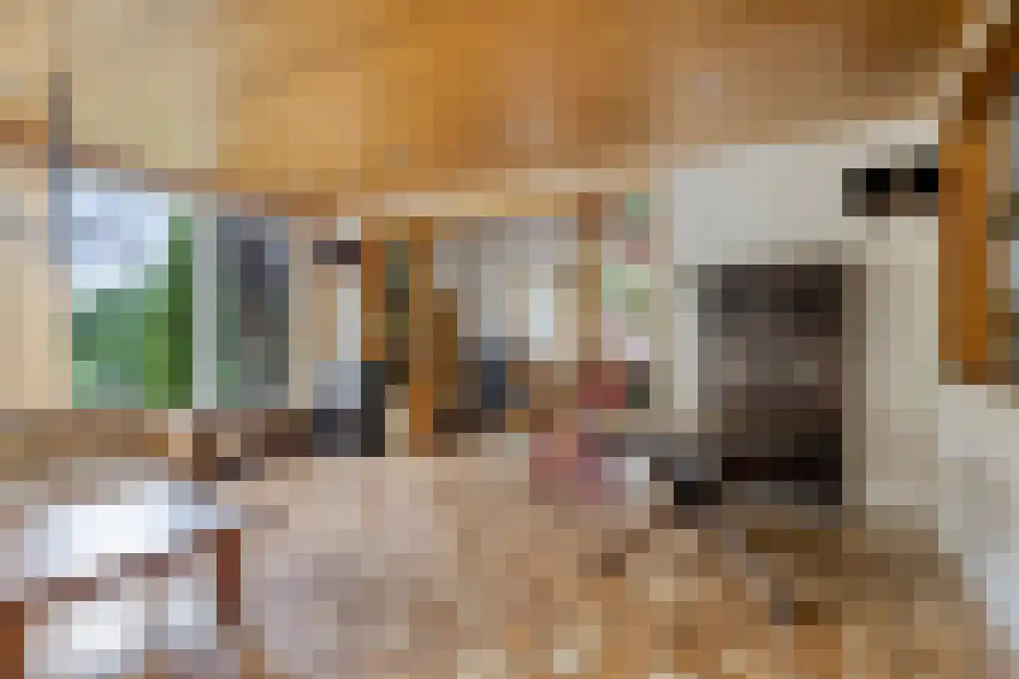 Ulvenhoutselaan 137 Breda thumbnail 19