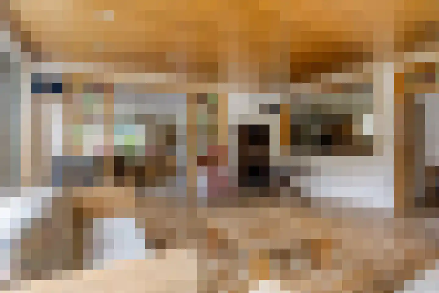 Ulvenhoutselaan 137 Breda thumbnail 20