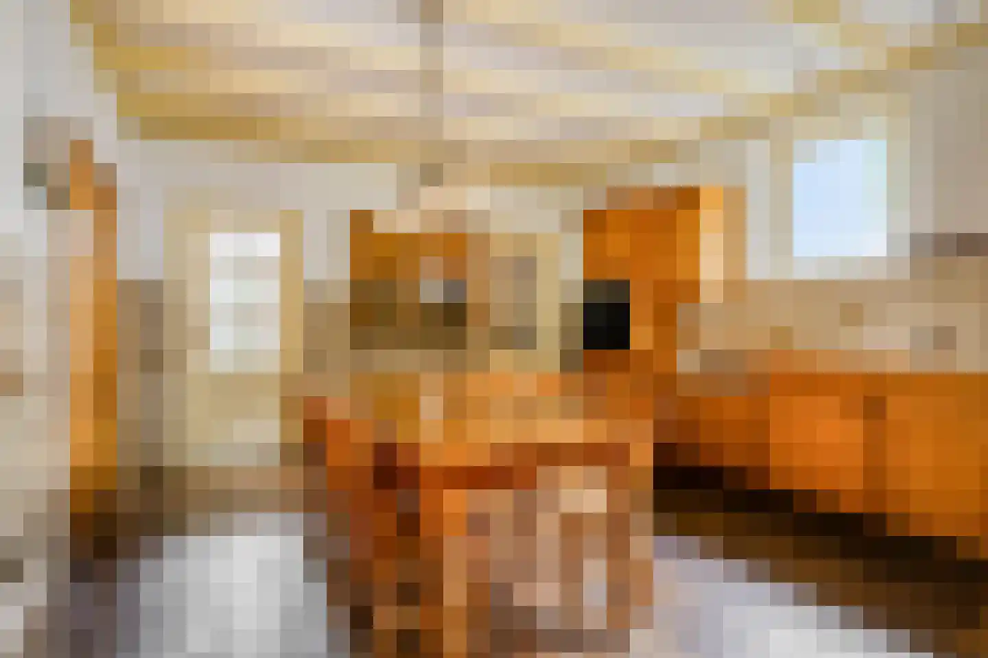 Ulvenhoutselaan 137 Breda thumbnail 24