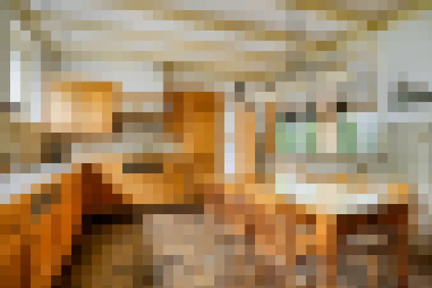 Ulvenhoutselaan 137 Breda thumbnail 25