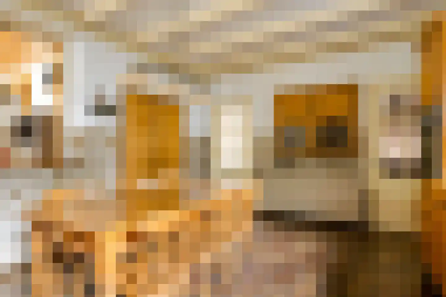 Ulvenhoutselaan 137 Breda thumbnail 26