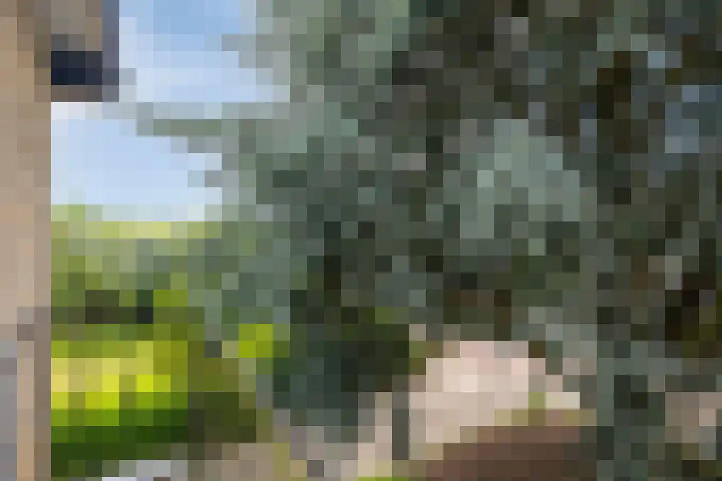 Ulvenhoutselaan 137 Breda thumbnail 32