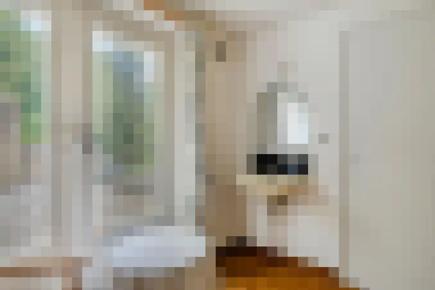 Ulvenhoutselaan 137 Breda thumbnail 34