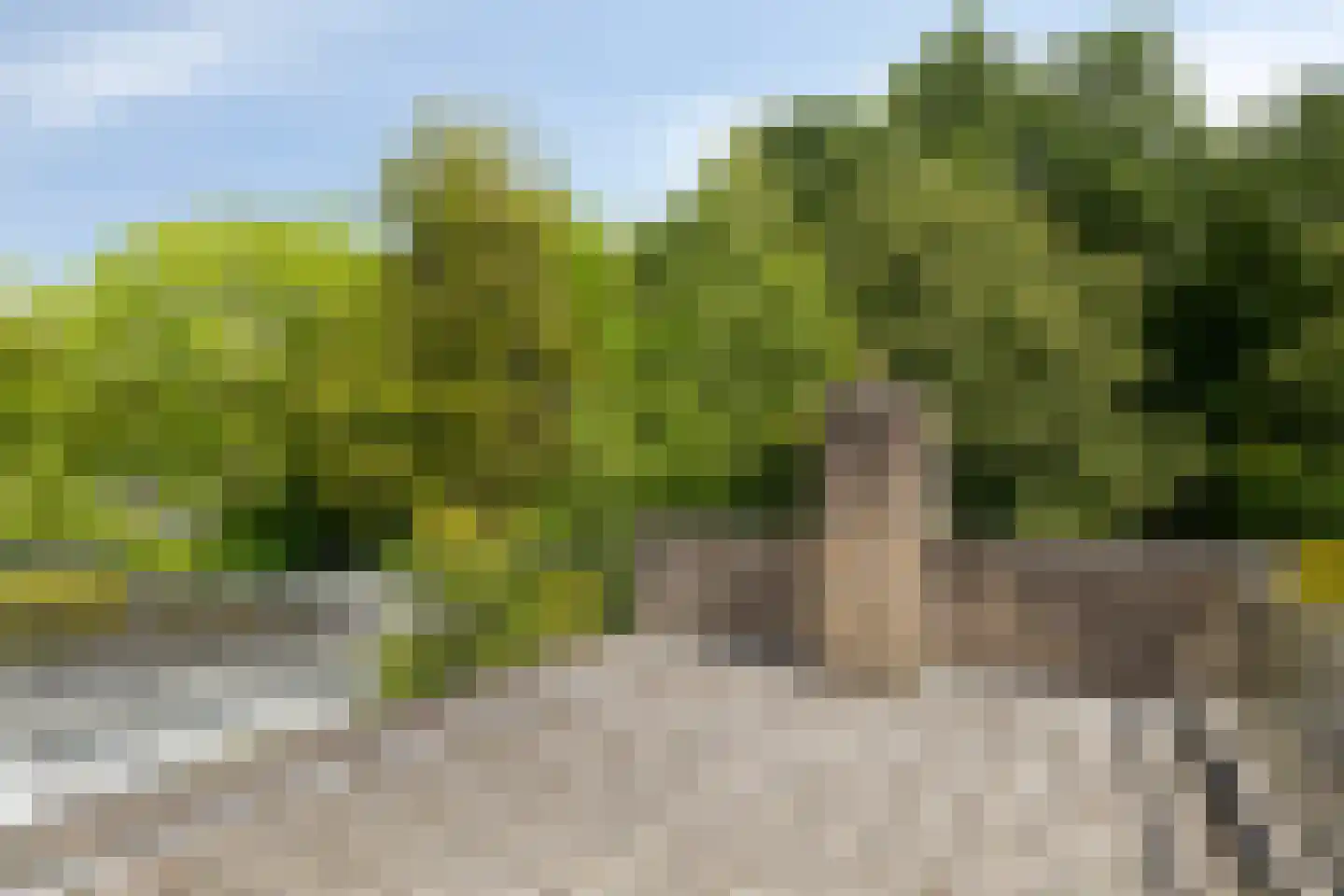 Ulvenhoutselaan 137 Breda thumbnail 48