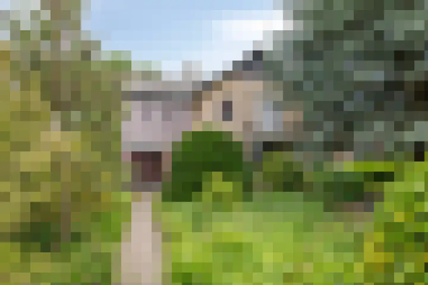 Ulvenhoutselaan 137 Breda thumbnail 51