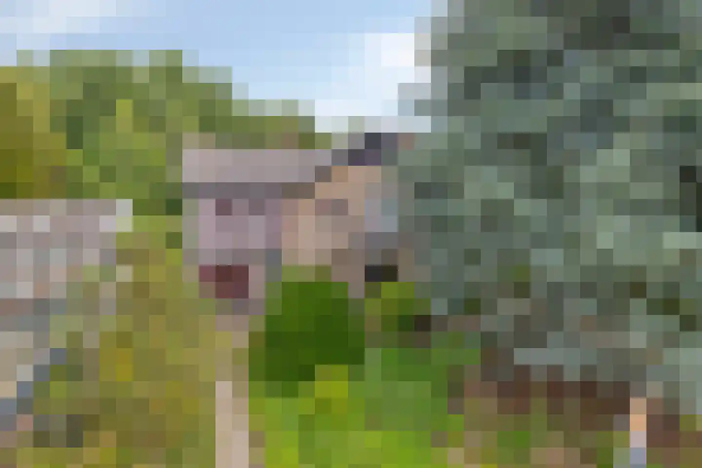 Ulvenhoutselaan 137 Breda thumbnail 52