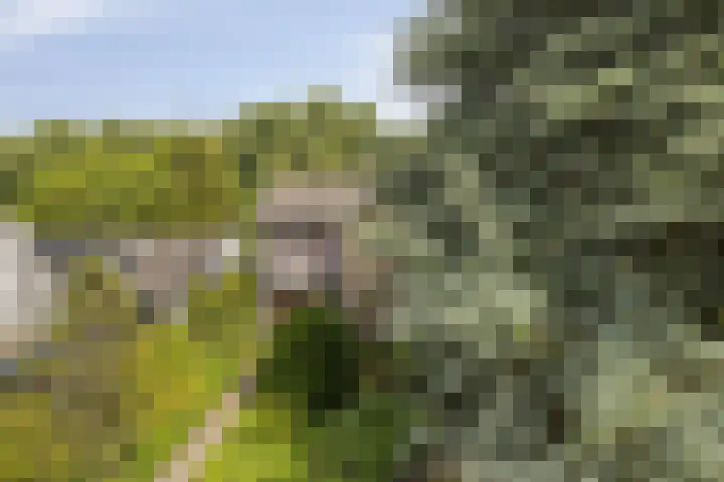 Ulvenhoutselaan 137 Breda thumbnail 53