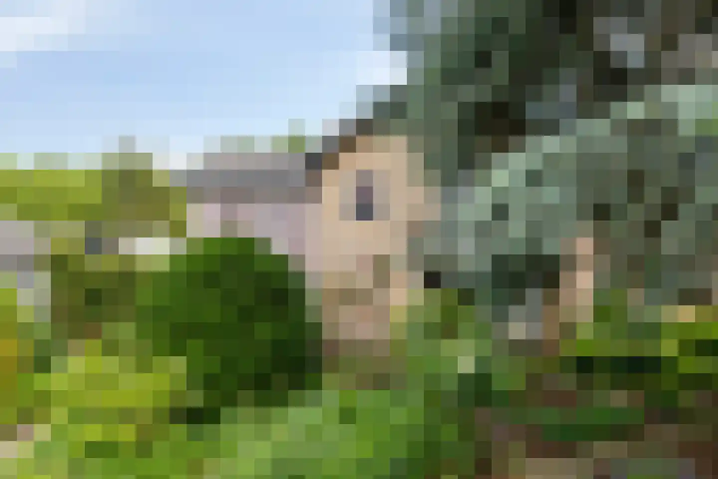 Ulvenhoutselaan 137 Breda thumbnail 6