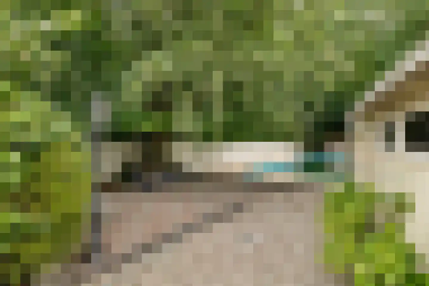 Ulvenhoutselaan 137 Breda thumbnail 65