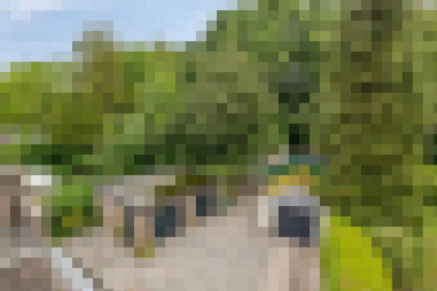 Ulvenhoutselaan 137 Breda thumbnail 76