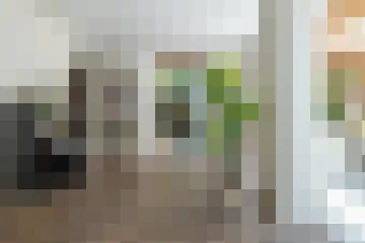 Ulvenhoutselaan 147 Breda thumbnail 10