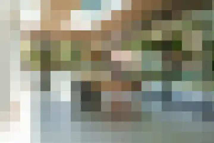 Ulvenhoutselaan 147 Breda thumbnail 15