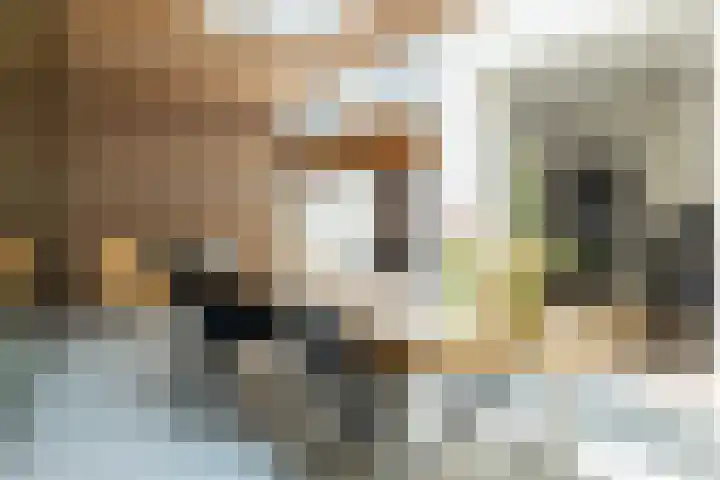 Ulvenhoutselaan 147 Breda thumbnail 16