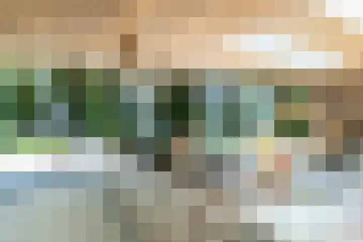 Ulvenhoutselaan 147 Breda thumbnail 19