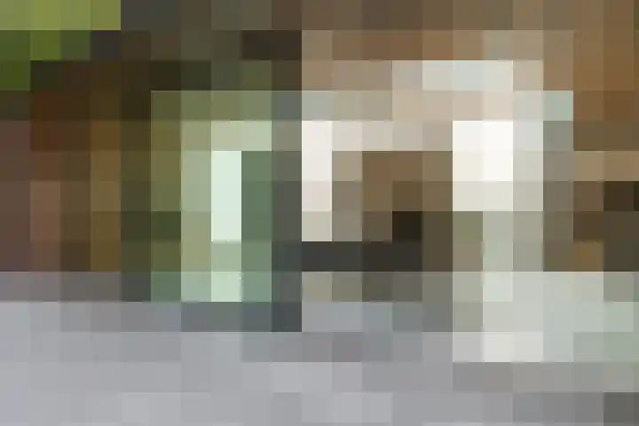 Ulvenhoutselaan 147 Breda thumbnail 20