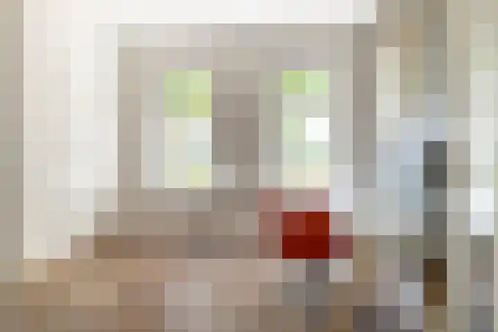 Ulvenhoutselaan 147 Breda thumbnail 22