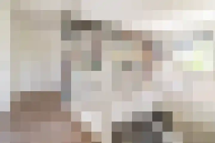Ulvenhoutselaan 147 Breda thumbnail 24