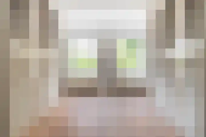 Ulvenhoutselaan 147 Breda thumbnail 27