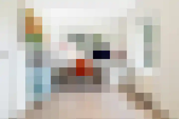 Ulvenhoutselaan 147 Breda thumbnail 31