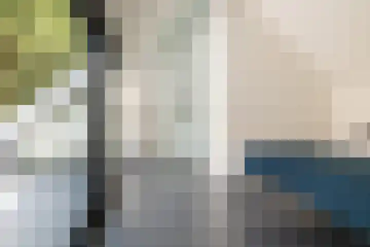 Ulvenhoutselaan 147 Breda thumbnail 33