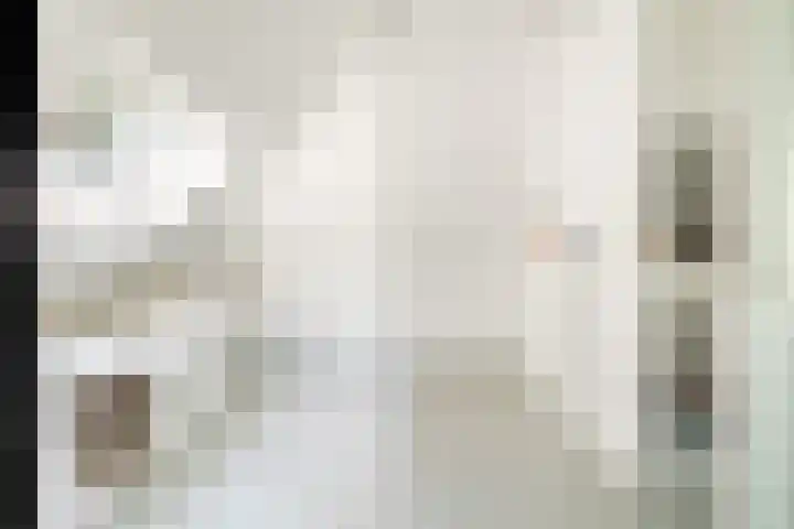 Ulvenhoutselaan 147 Breda thumbnail 35