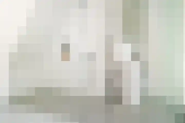 Ulvenhoutselaan 147 Breda thumbnail 36