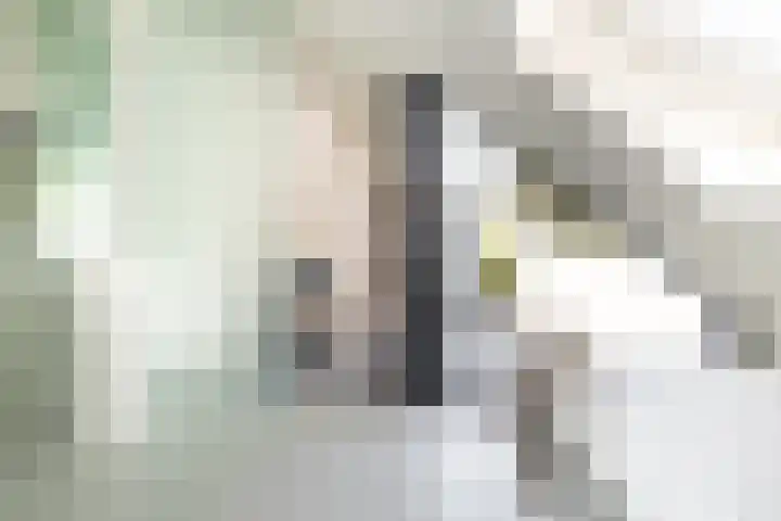Ulvenhoutselaan 147 Breda thumbnail 38