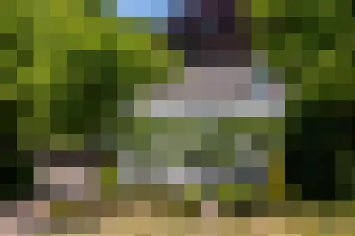 Ulvenhoutselaan 147 Breda thumbnail 39