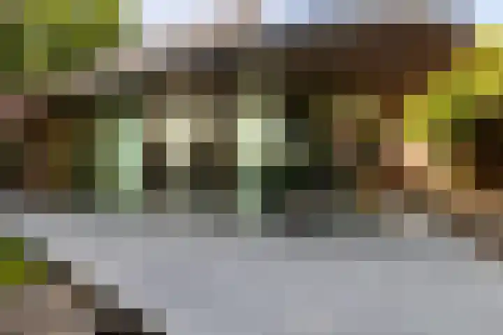 Ulvenhoutselaan 147 Breda thumbnail 4