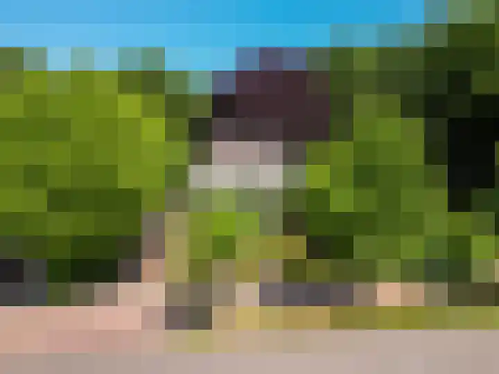 Ulvenhoutselaan 147 Breda thumbnail 40