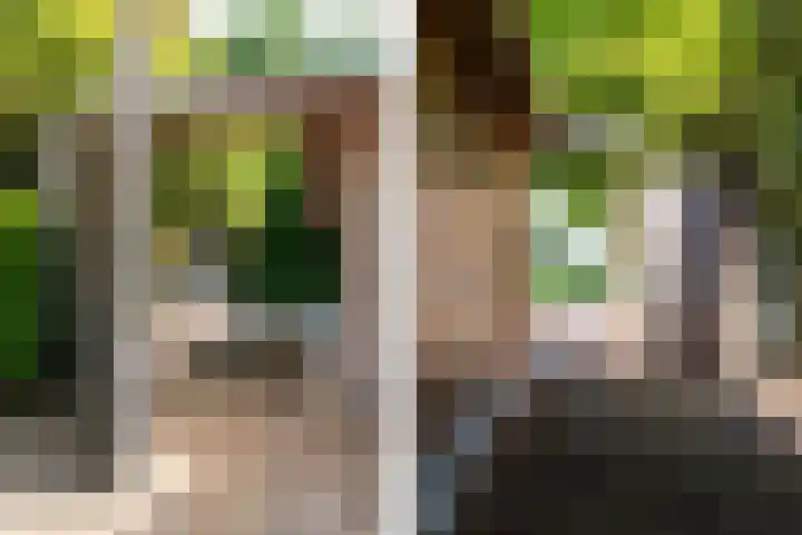 Ulvenhoutselaan 147 Breda thumbnail 41