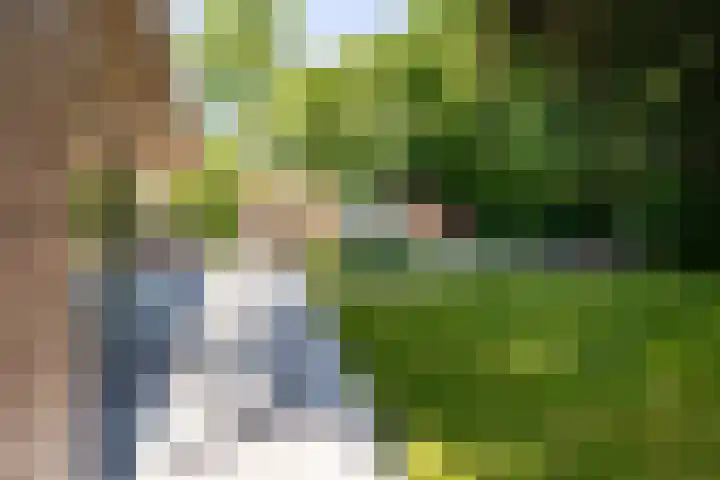 Ulvenhoutselaan 147 Breda thumbnail 43