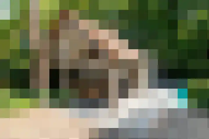 Ulvenhoutselaan 147 Breda thumbnail 44