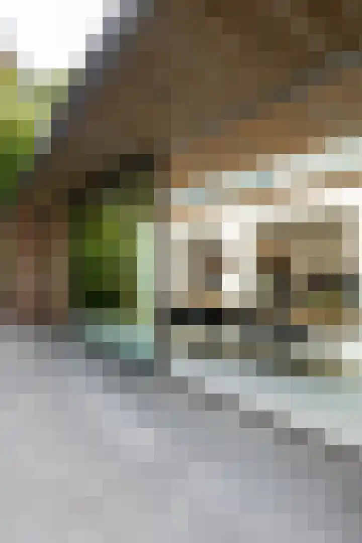 Ulvenhoutselaan 147 Breda thumbnail 5