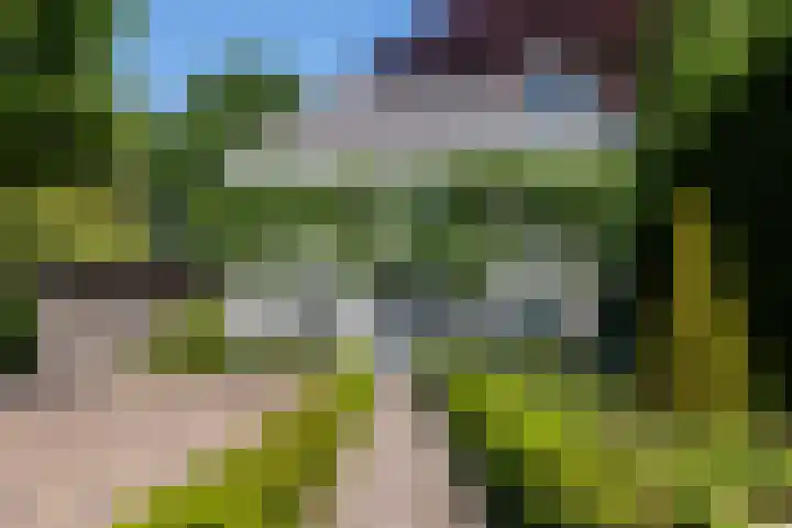 Ulvenhoutselaan 147 Breda thumbnail 6